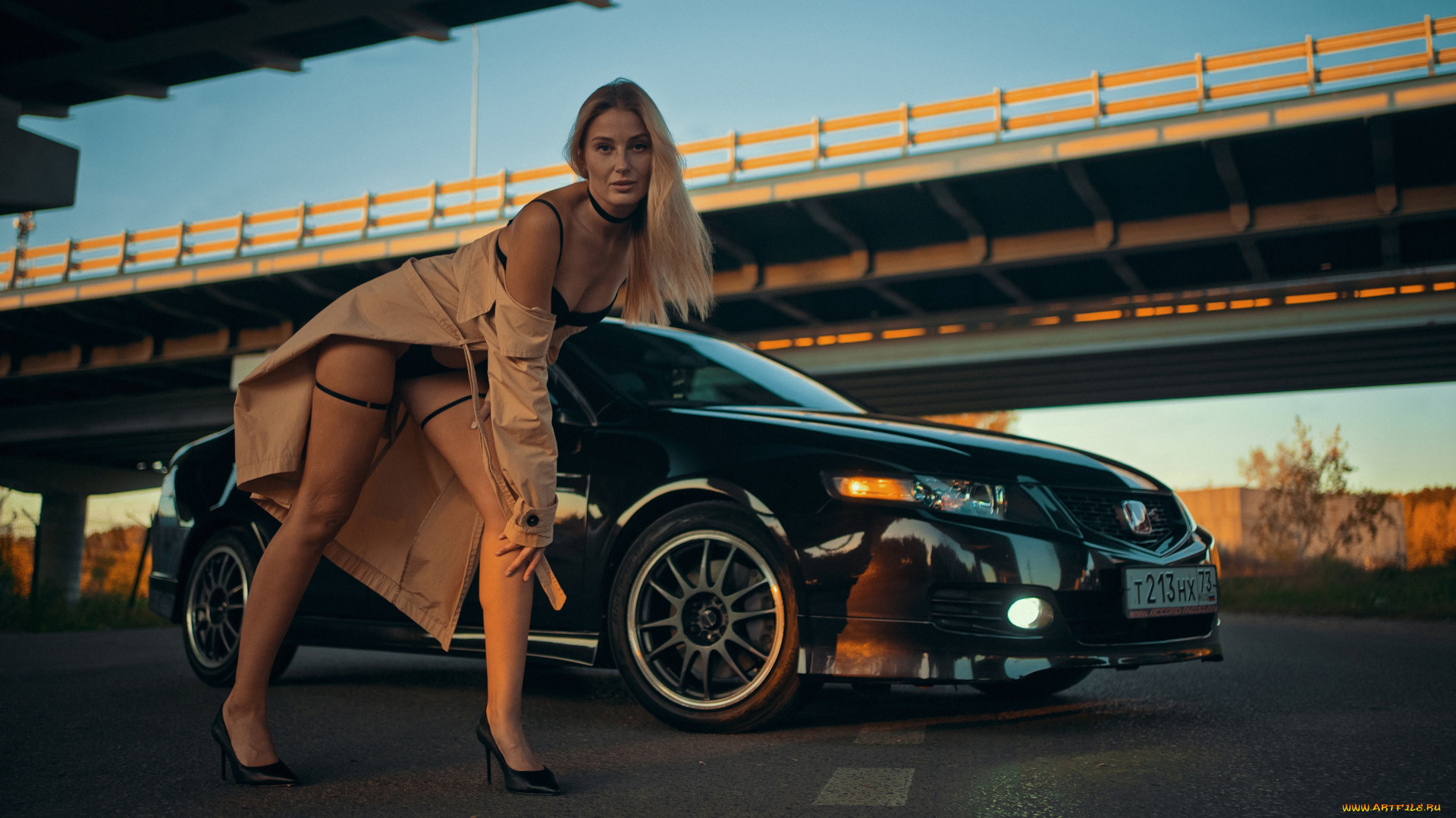 , -  , honda, accord